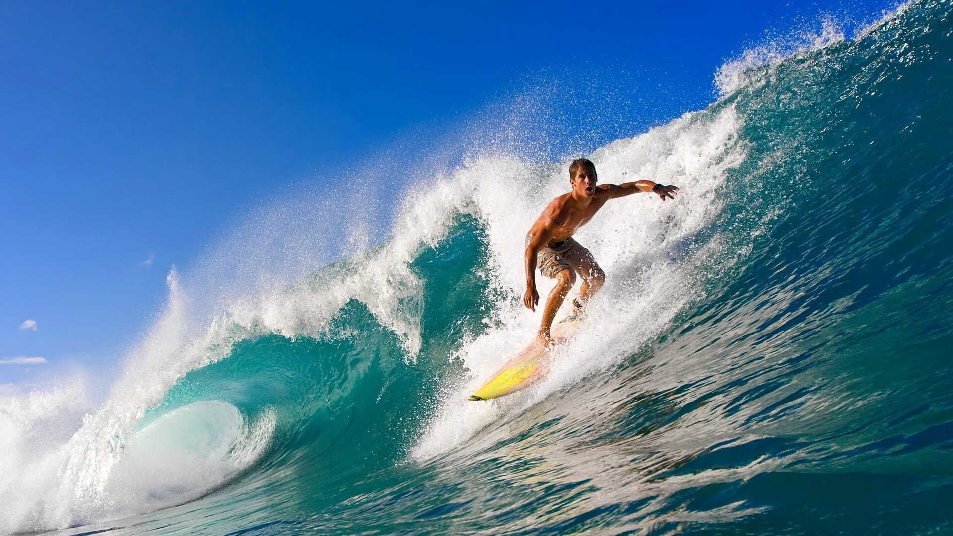 开云体育网址-星光下的射击比赛：闪耀夜空的运动盛典